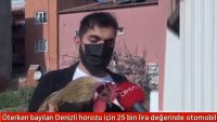 Öterken bayılan Denizli horozu için 25 bin lira değerinde otomobil teklif edildi.