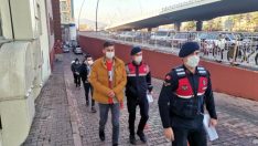 Barınaktan 3 tane pitbull çaldılar!