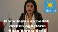 “Kamulaştırma bedeli dikilen ağaçların fidan parası değil”