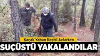 Yaban Keçisi Avlayanlar Tutuklandı