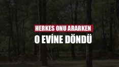 Herkes onu ararken o evine döndü