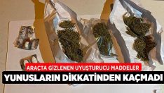 Araçta Gizlenen Uyuşturucu Maddeler Yunusların Dikkatinden Kaçmadı