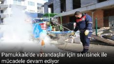 Pamukkale Belediyesi, sivrisinek sorunu için işi sıkı tutuyor.