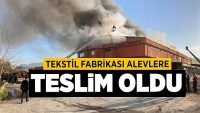 Tekstil fabrikası alevlere teslim oldu