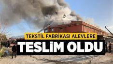 Tekstil fabrikası alevlere teslim oldu