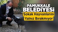 Pamukkale Belediyesi Sokak Hayvanlarını Yalnız Bırakmıyor!!