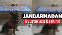 Jandarmadan Uyuşturucu Baskını!