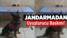 Jandarmadan Uyuşturucu Baskını!