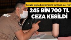 Sokağa Çıkma Kısıtlamasına Uymayan 273 Kişiye 245 Bin 700 TL Ceza Kesildi !!!