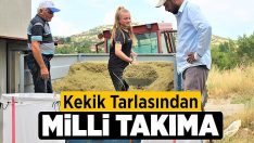 Kekik tarlasından milli takıma!!