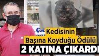 Kedisinin başına koyduğu ödülü 2 katına çıkardı!!