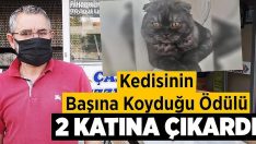 Kedisinin başına koyduğu ödülü 2 katına çıkardı!!