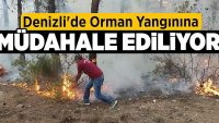 Denizli’de orman yangınına müdahale ediliyor!!