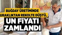 Buğday üretiminde kuraklıktan rekolte düştü, un fiyatı zamlandı!!