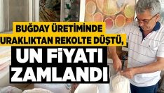 Buğday üretiminde kuraklıktan rekolte düştü, un fiyatı zamlandı!!