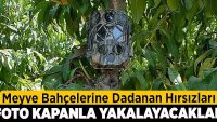 Meyve bahçelerine dadanan hırsızları foto kapanla yakalayacaklar!!