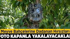 Meyve bahçelerine dadanan hırsızları foto kapanla yakalayacaklar!!