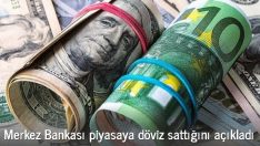 Merkez Bankası piyasaya döviz sattığını açıkladı