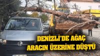 Denizli’de ağaç aracın üzerine düştü
