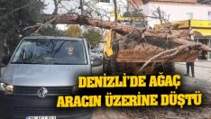 Denizli’de ağaç aracın üzerine düştü