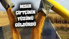 Mısır, çiftçinin yüzünü güldürdü
