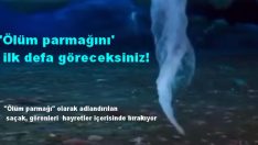 ‘Ölüm parmağını’ ilk defa göreceksiniz!