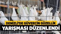 Güvercin Güzellik Yarışması Düzenlendi.