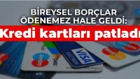 Bireysel borçlar ödenemez hale geldi: Kredi kartları patladı.