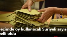 Seçimde oy kullanacak Suriyeli sayısı belli oldu