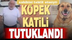 Denizli’de sahipli bir köpeği tüfekle vurduğu ileri sürülen kişi tutuklandı.