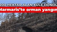 Marmaris’te orman yangını: 200 hektar alan küle döndü