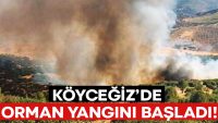 Muğla Köyceğiz’de orman yangını.