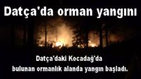 Datça’da orman yangını