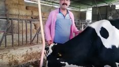 Üreticilerden Bakan Nebati’ye tepki: Metropolde beton kemirsinler artık.