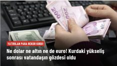Doların yükselişi sonrası Kur Korumalı Mevduat hesapları rekor kırdı.