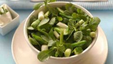 Semizotu Diyeti İle Zayıflama!