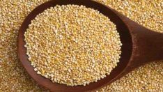 Zayıflamanın En Büyük Formülü Kinoa!