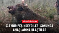 Avcılar 3 aydır peşinde oldukları domuzu vurdu