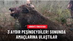Avcılar 3 aydır peşinde oldukları domuzu vurdu