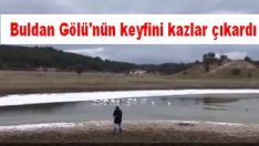 Buldan Gölü’nün keyfini kazlar çıkardı