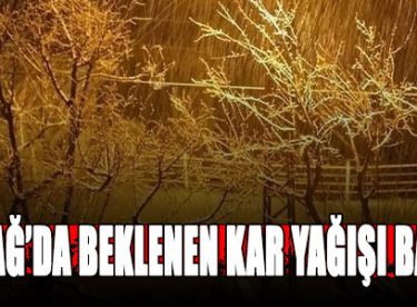 BABADAGA YILIN İL KARI DÜŞTÜ