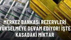 Merkez Bankası toplam rezervleri 124.5 milyar dolara yükseldi
