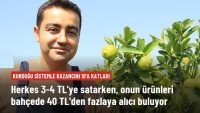 Mersin’de yetiştirilen yeşil limonun kilosu 10 kat daha pahalıya satılıyor