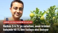Mersin’de yetiştirilen yeşil limonun kilosu 10 kat daha pahalıya satılıyor